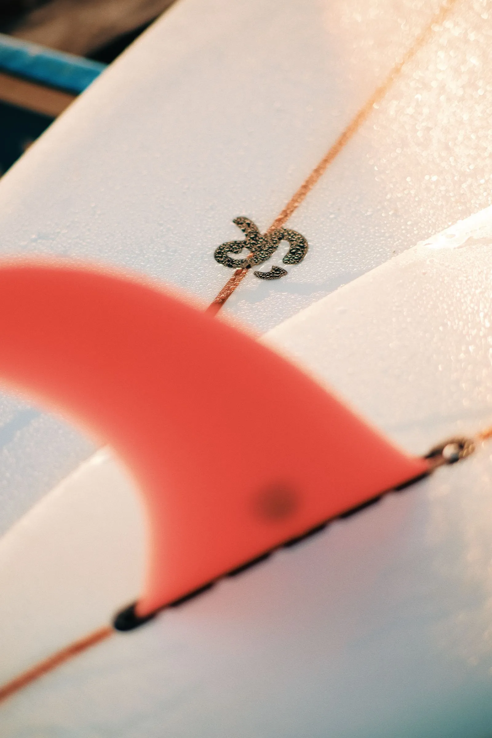 Quilha de uma prancha de surf em close, à luz do fim de tarde.